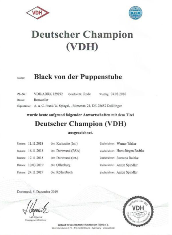 Black von der Puppenstube IPO1 🇩🇪🇩🇪 - Image 4